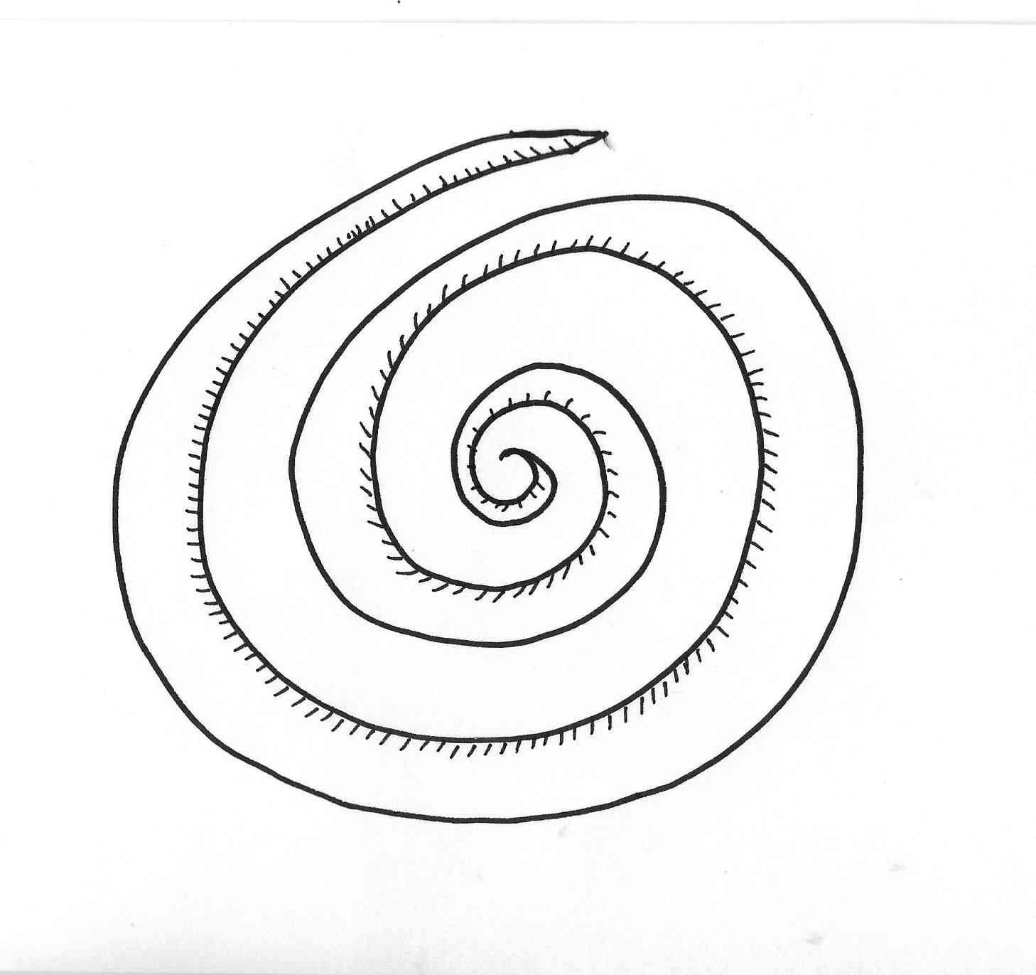 Copy of 7.13 patterns 2 Patterns Anchor Point